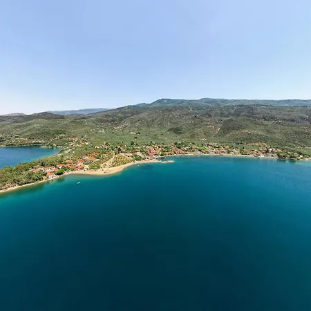 Chroma Pelion *